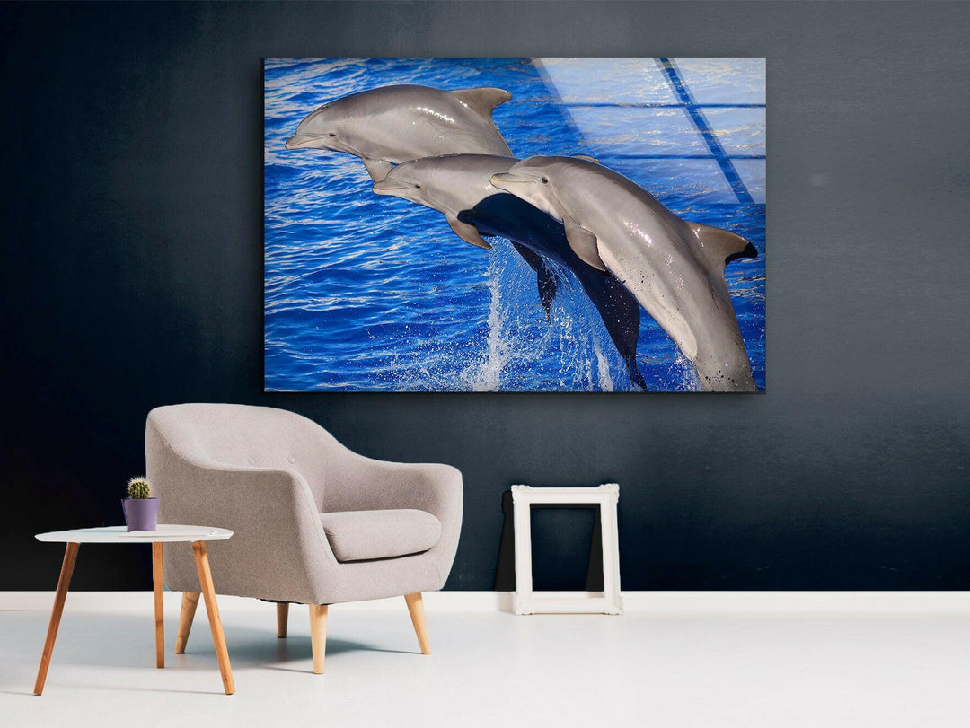 Bottlenose Dolphin Glass Wall Art print picture on glass, Tempered Glass Wall Art