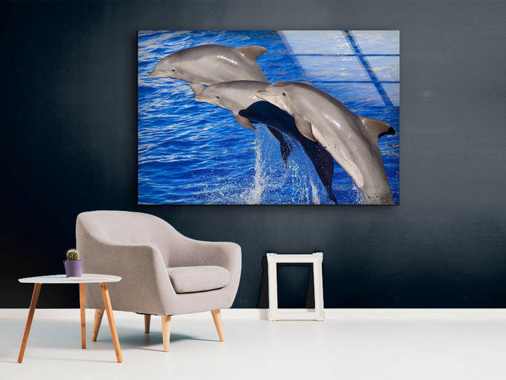 Bottlenose Dolphin Glass Wall Art print picture on glass, Tempered Glass Wall Art