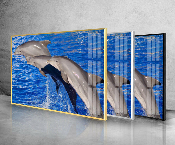 Bottlenose Dolphin Glass Wall Art             glass wall decor, glass wall art decor