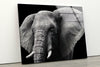 Safari Elephant Tempered Glass Wall Art