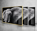 Safari Elephant Tempered Glass Wall Art