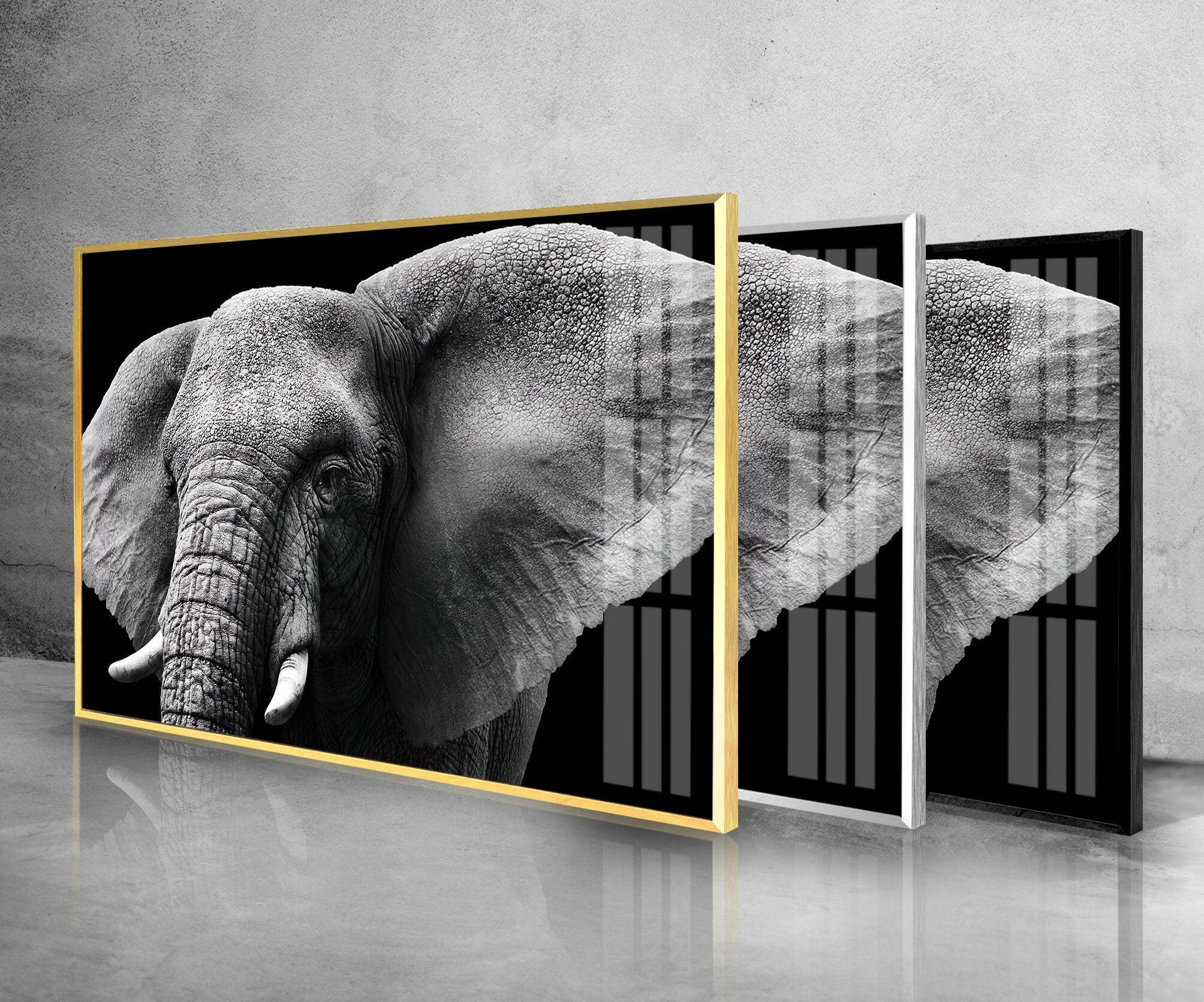 Safari Elephant Tempered Glass Wall Art