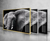 Safari Elephant Tempered Glass Wall Art