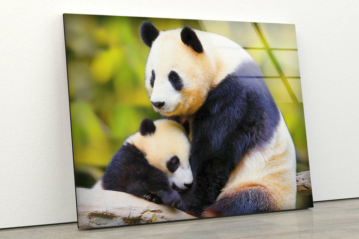 Panda Family Glass Wall Art print picture on glass, Tempered Glass Wall Art