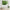 Green Abstract Tempered Glass Wall Art
