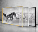 Wild Black and White Horses Tempered Glass Wall Art