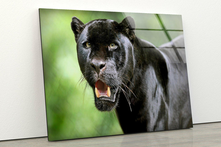 Black Panther Glass Wall Art print on glass, glass printed photos