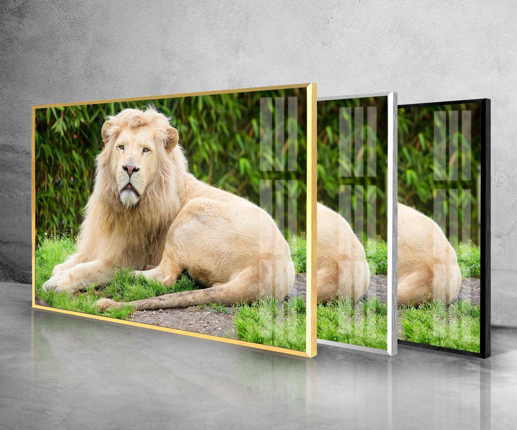 Safari Lion Tempered Glass Wall Art