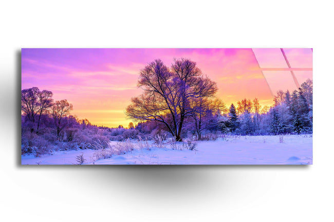 Snowy Forest Landscape Tempered Glass Wall Art