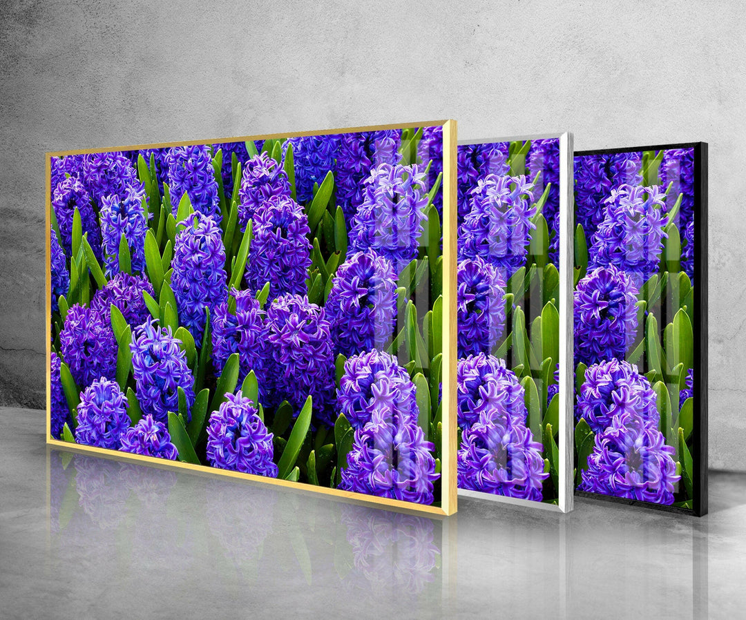 Hyacinth Flower in Garden Glass Wall Art photo print on glass, prints on glass wall art