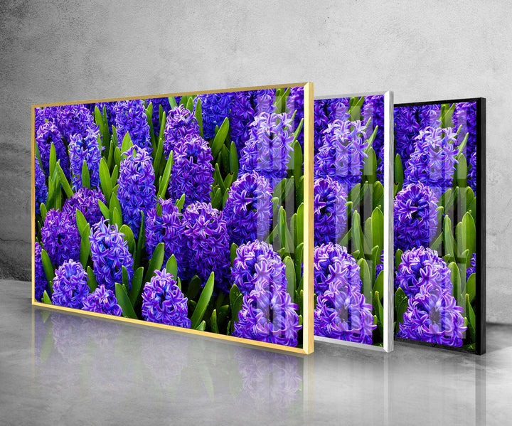 Hyacinth Flower in Garden Glass Wall Art photo print on glass, prints on glass wall art