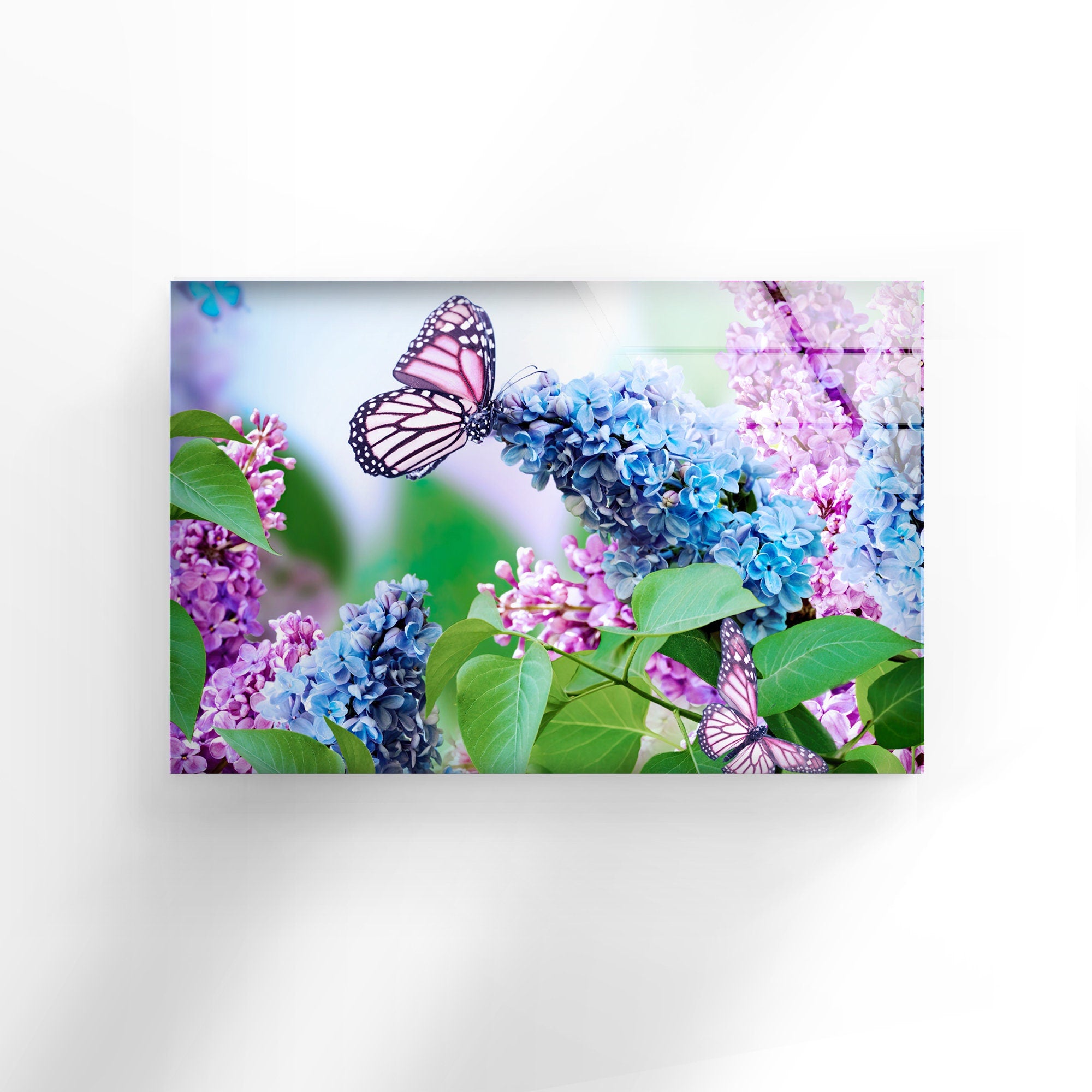 Butterfly and Flower Tempered Glass Wall Art