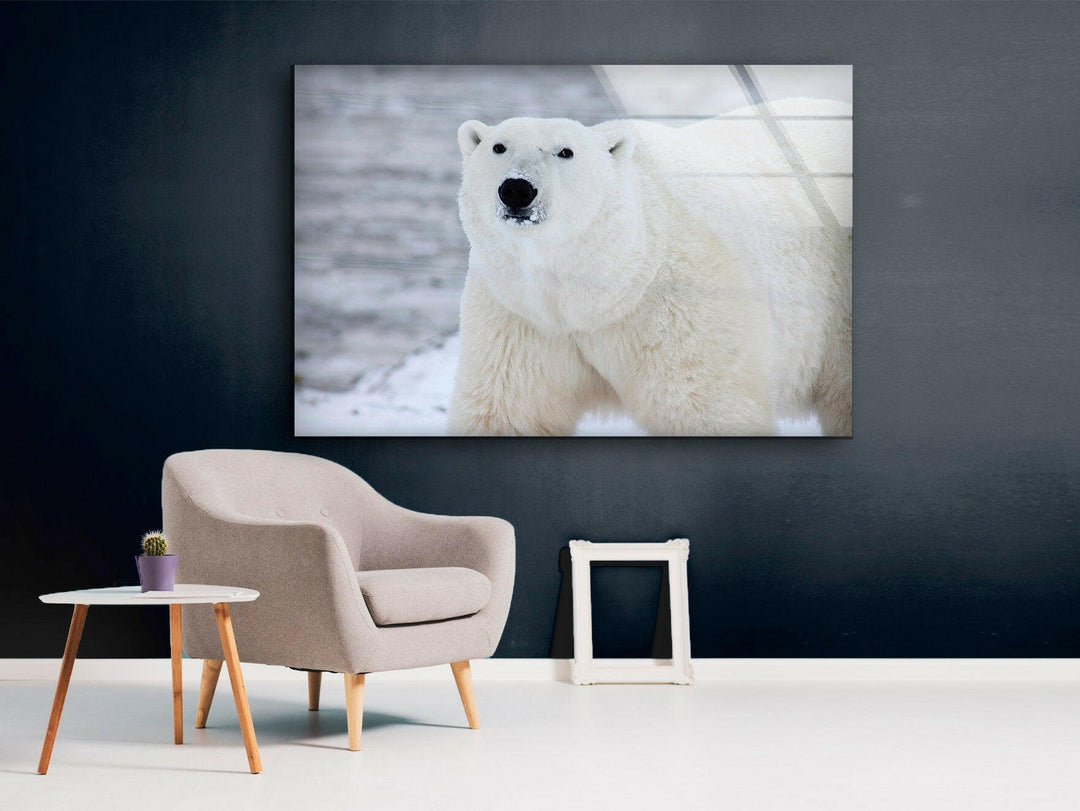 Polar Bear Glass Wall Art photo print on glass, prints on glass wall art