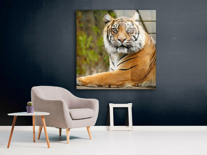 Tiger View Glass Wall Art glass pictures for Wall, glass prints wall art