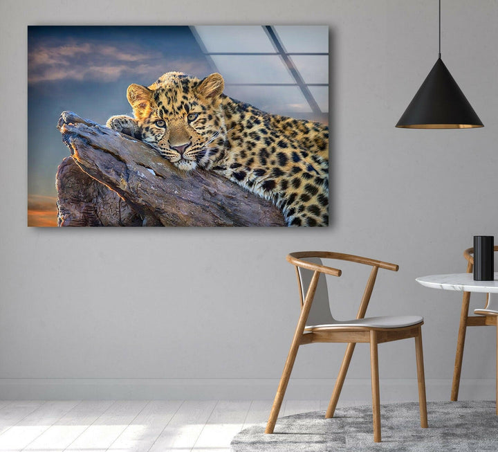 Majestic Amur Leopard Glass Wall Art             glass wall decor, glass wall art decor