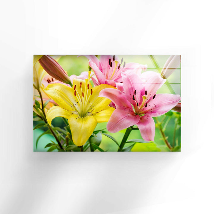 Yellow-Pink Lily Flower Glass Wall Art, art glass wall art, glass wall art pictures