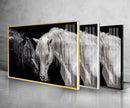 Horses Tempered Glass Wall Art