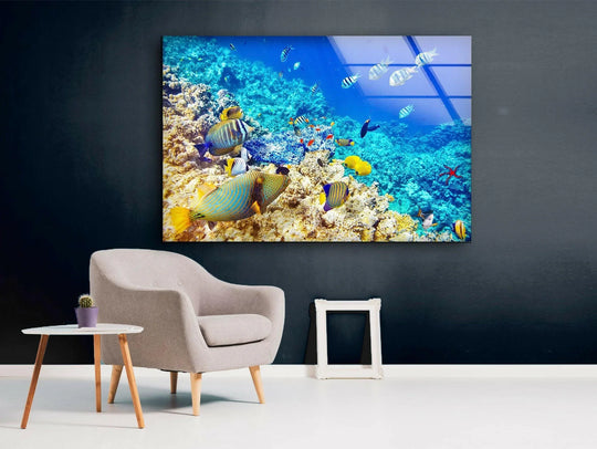 Landscape glass wall art shows colorful ocean fishes and coral reef a vibrant marine decor for ocean wall art and tropical wall decor on a dark wall