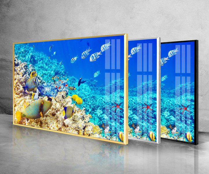 Tropical Ocean Fishes Glass Wall Art Glass Printing Wall Art, Print photos on glass