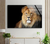 Safari Animal Lion Tempered Glass Wall Art