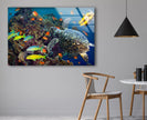 Undersea Fishes Tempered Glass Wall Art