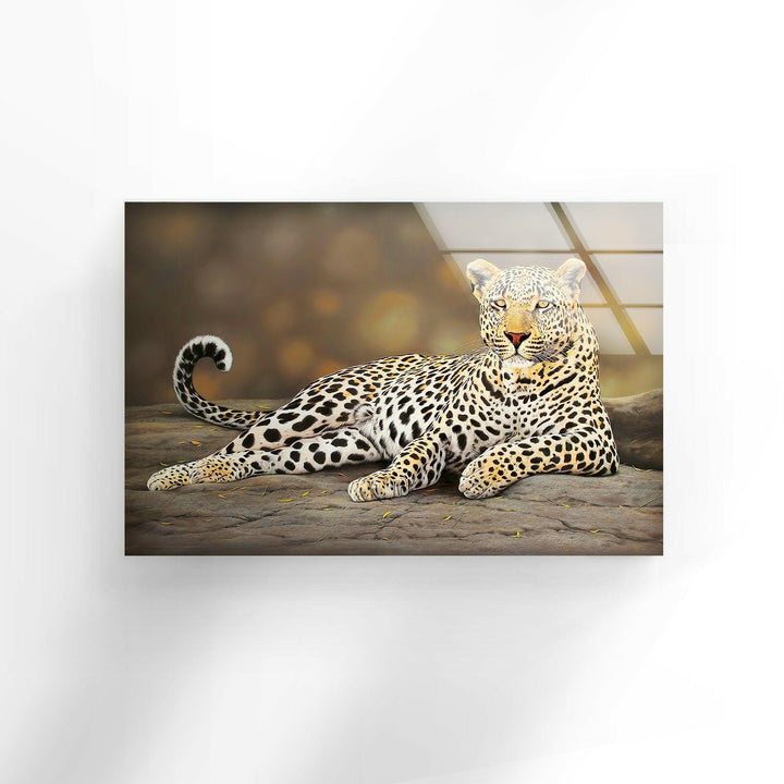 Laying Cheetah Glass Wall Art glass photo prints, glass picture prints