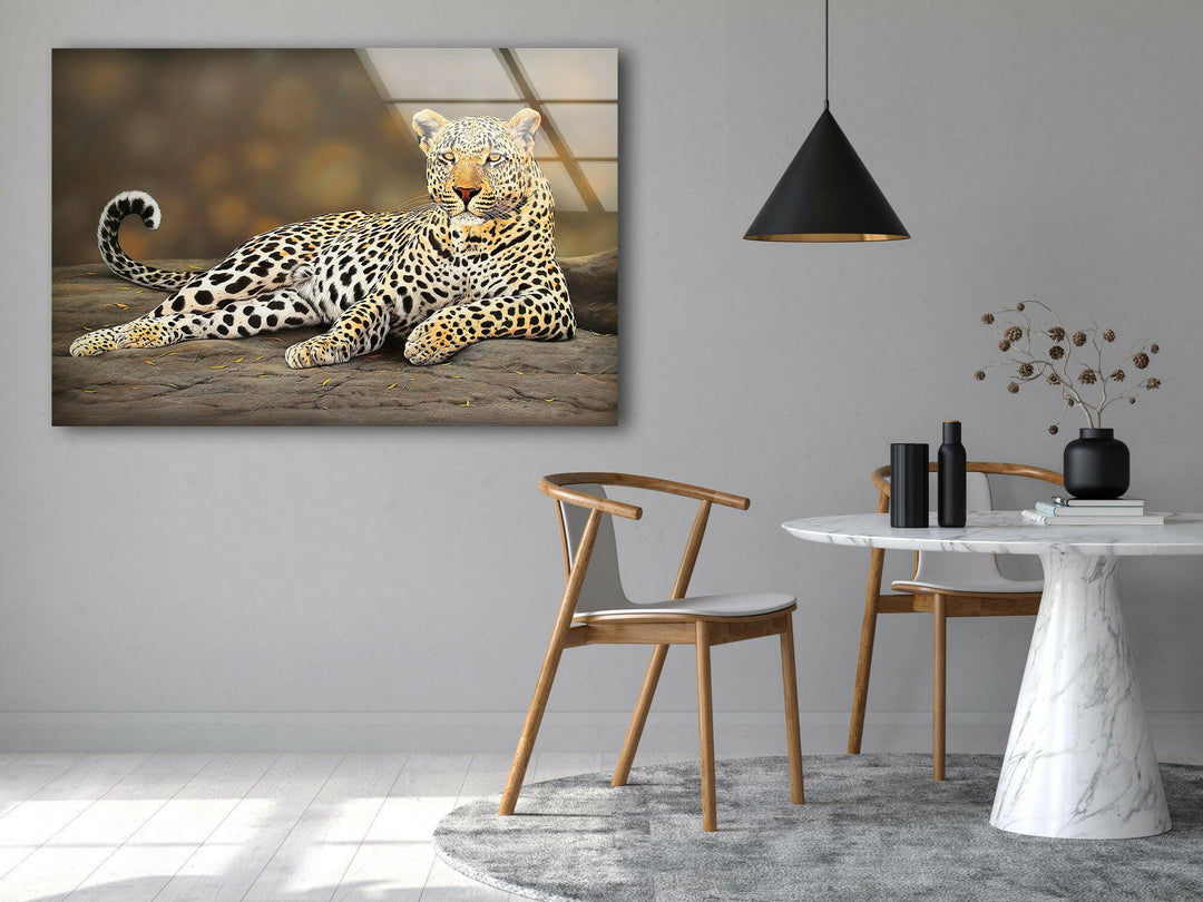 Laying Cheetah Glass Wall Art glass image printing, glass prints from photos