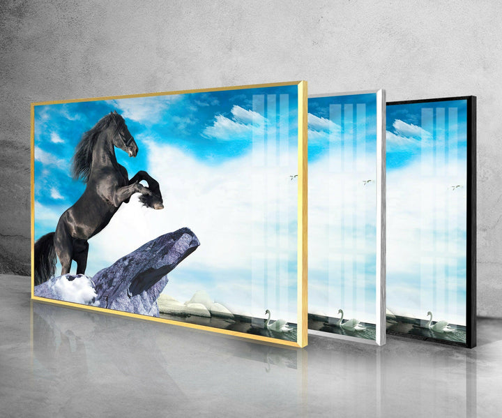 Prancing Horse Glass Wall Art custom glass photo prints, large glass prints