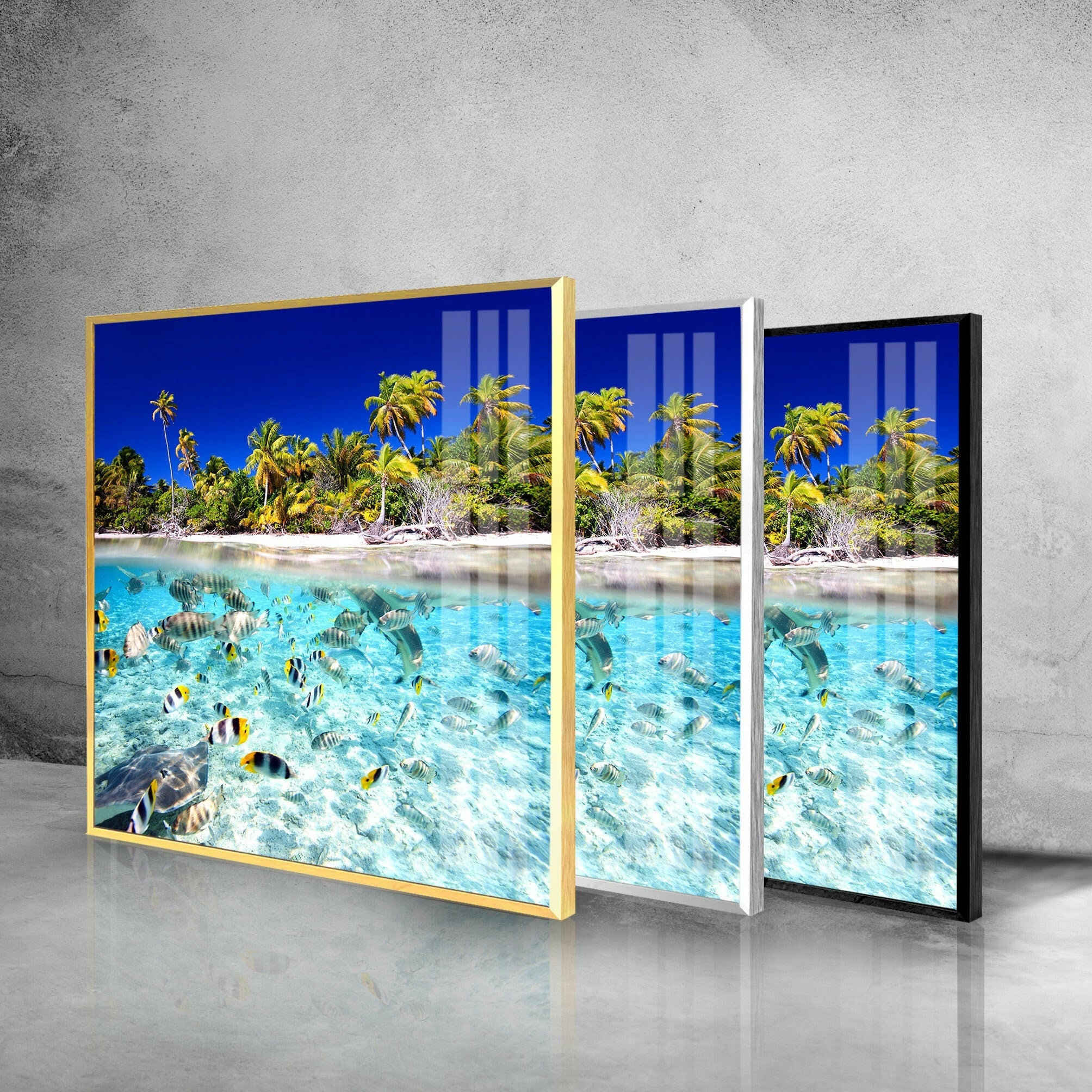 Tropical Fish Tempered Glass Wall Art