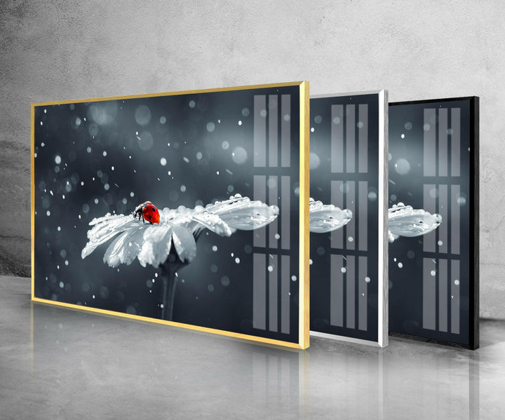 Ladybug in Drops Glass Wall Art art glass wall art, glass wall art pictures