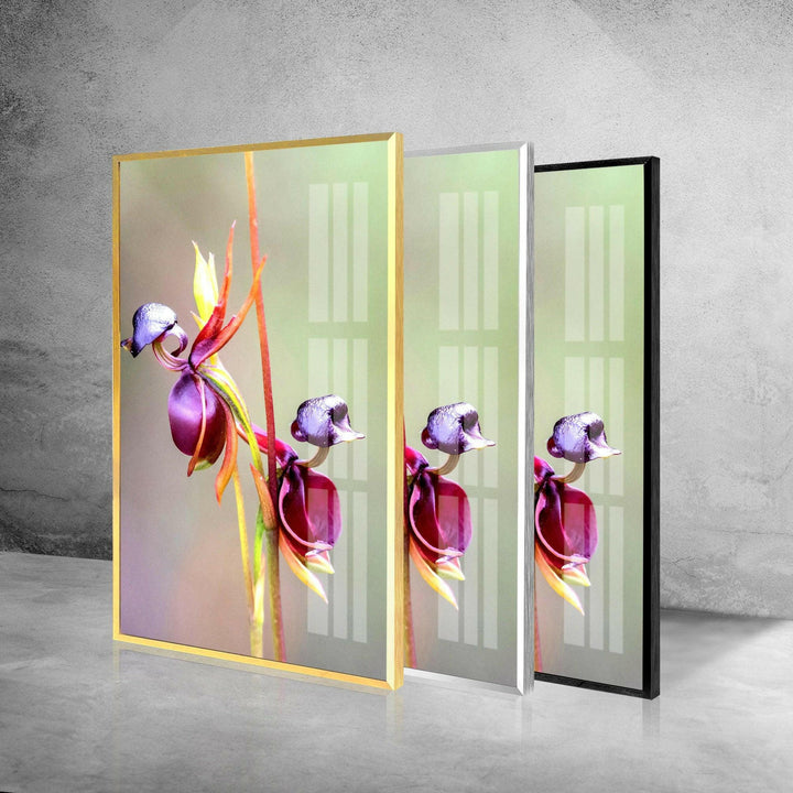 Flying Duck Orchid Glass Wall Art, photo print on glass, prints on glass wall art