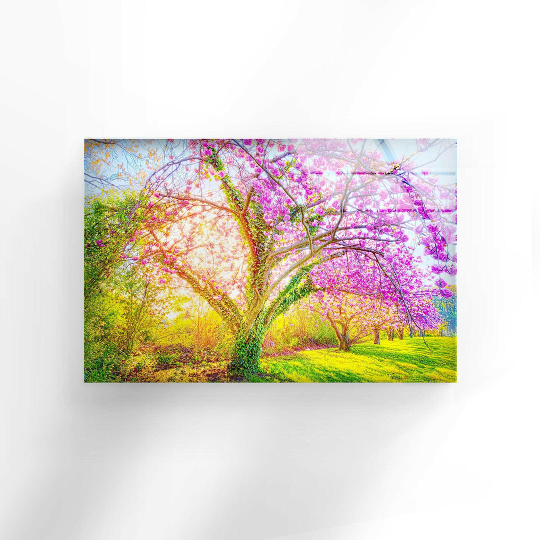 Cherry Blossom Glass Wall Art picture on glass wall art, photos printed on glass