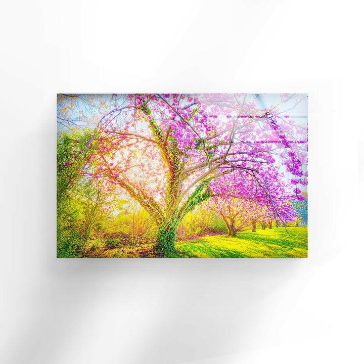 Cherry Blossom Glass Wall Art picture on glass wall art, photos printed on glass
