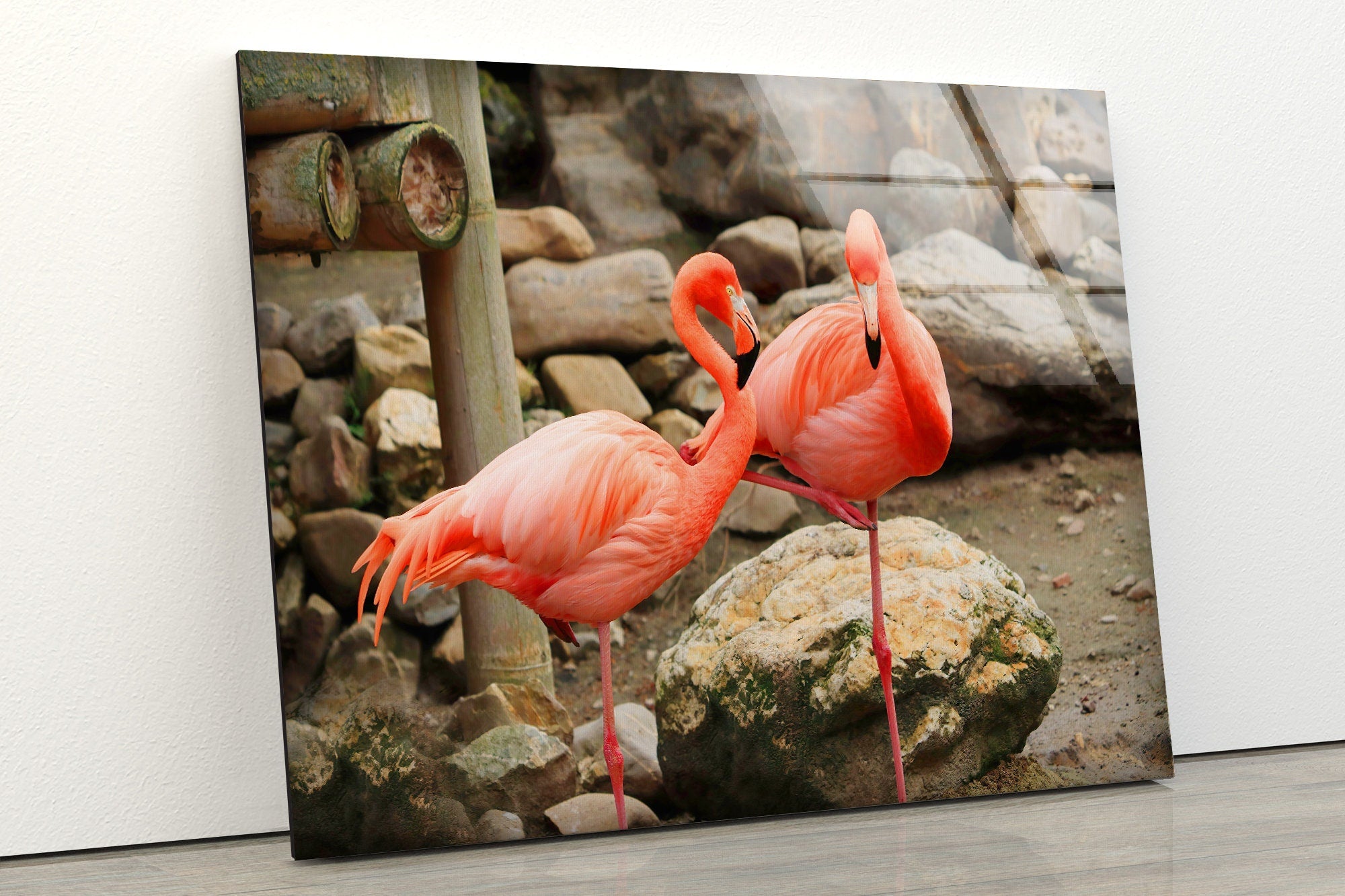 Flamingos Tempered Glass Wall Art