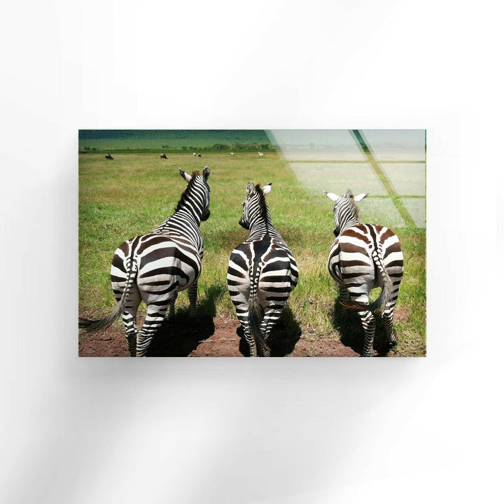 Safari Zebra Glass Wall Art             glass wall decor, glass wall art decor