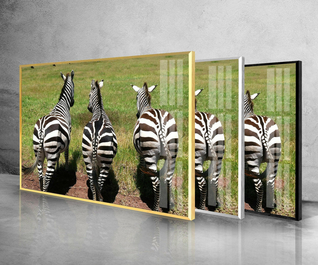 Safari Zebra Glass Wall Art art glass wall art, glass wall art pictures