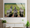 Safari View Zebra Tempered Glass Wall Art
