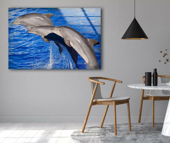 Bottlenose Dolphin Glass Wall Art large glass photo prints, glass wall photos