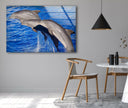 Dolphin Tempered Glass Wall Art