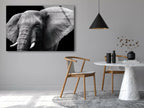 Safari Elephant Tempered Glass Wall Art