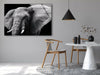 Safari Elephant Tempered Glass Wall Art