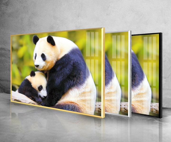 Panda Family Glass Wall Art glass photo prints, glass picture prints
