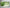Green Abstract Tempered Glass Wall Art