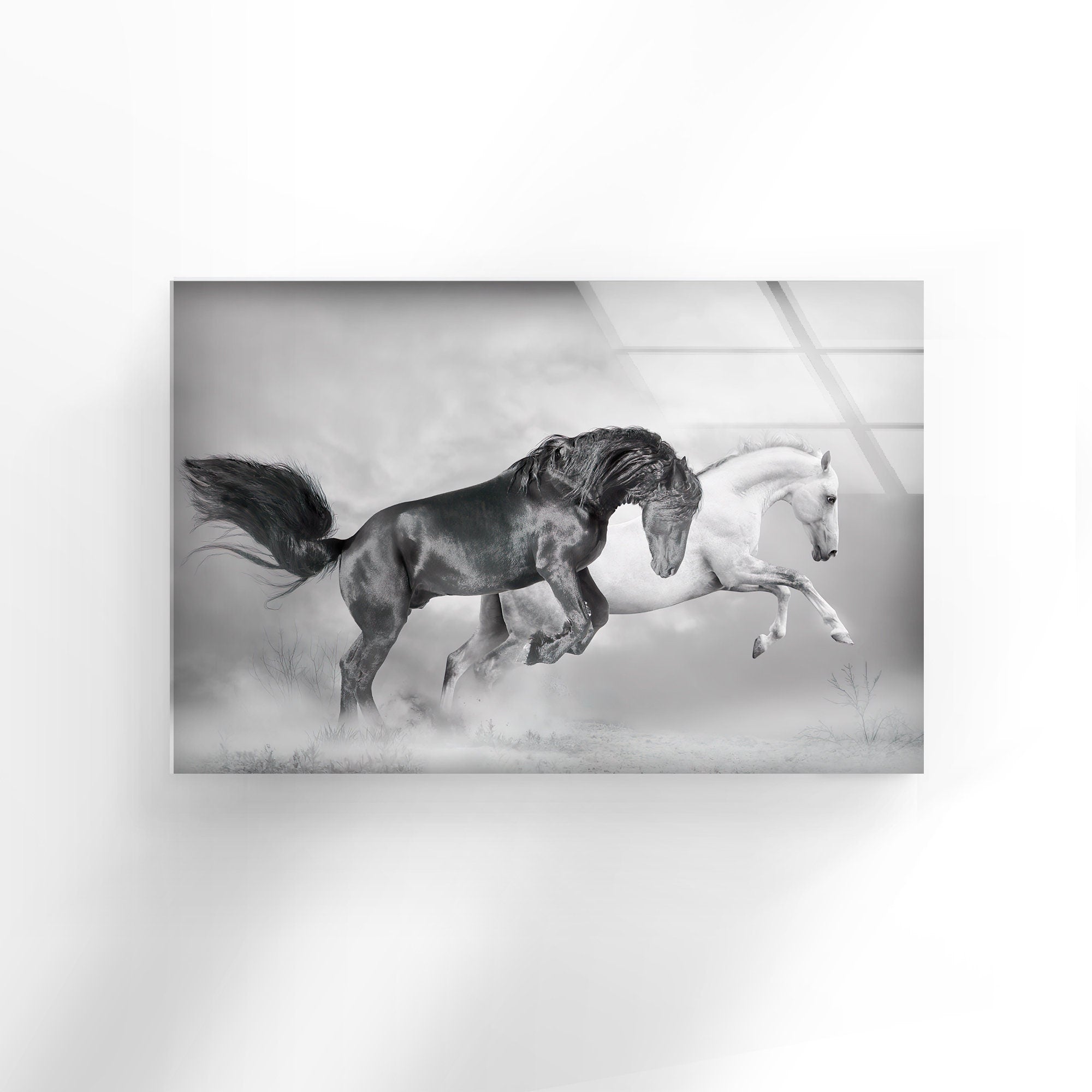 Wild Black and White Horses Tempered Glass Wall Art