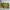 Green and Red Stained Tempered Glass Wall Art