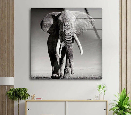 Black and white elephant glass wall art features a majestic animal motif and provides animal themed wall decor and striking safari art and decor to enhance your walls