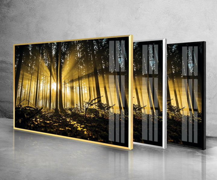 Brown Trees With Sun Rays Glass Wall Art glass wall decor, glass wall art decor