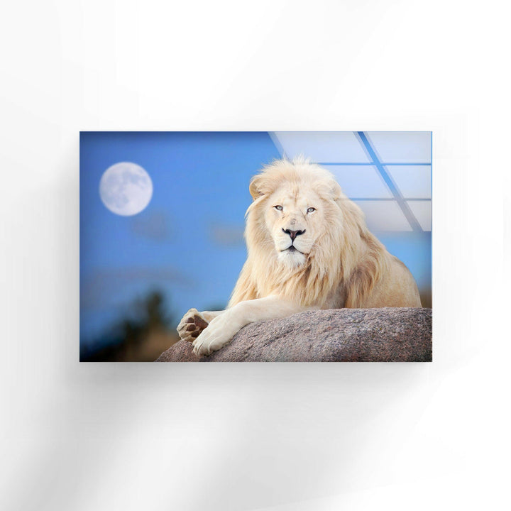 White Lion Sitting Glass Wall Art print picture on glass, Tempered Glass Wall Art