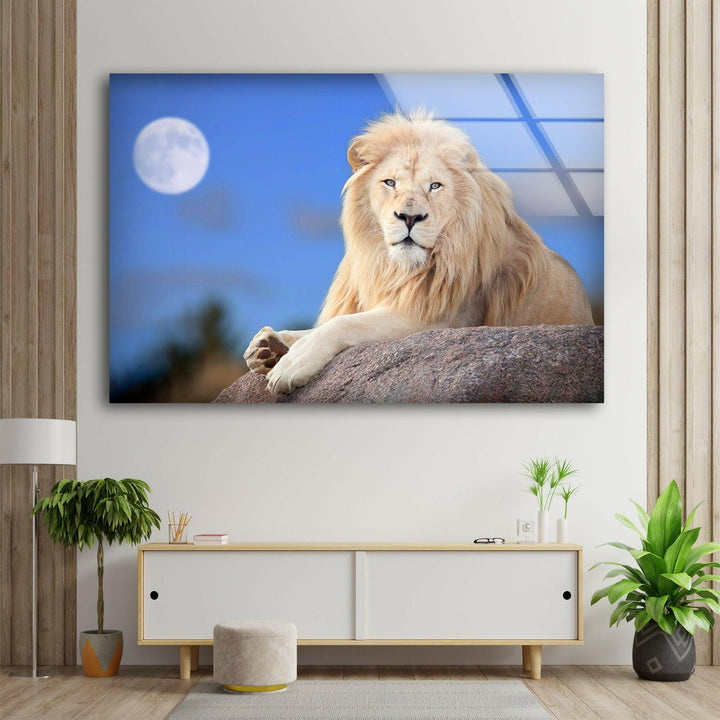 White Lion Sitting Glass Wall Art photo print on glass, prints on glass wall art