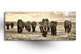 Safari Animal Elephants Tempered Glass Wall Art
